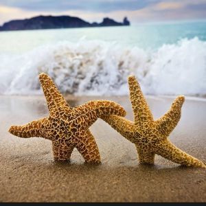 Meet your Posher, Pat